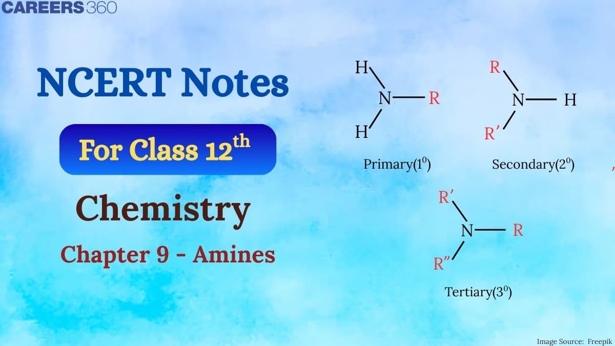 Amines Class 12th Notes- Free NCERT Class 12 Chemistry Chapter 13 Notes- Download PDF